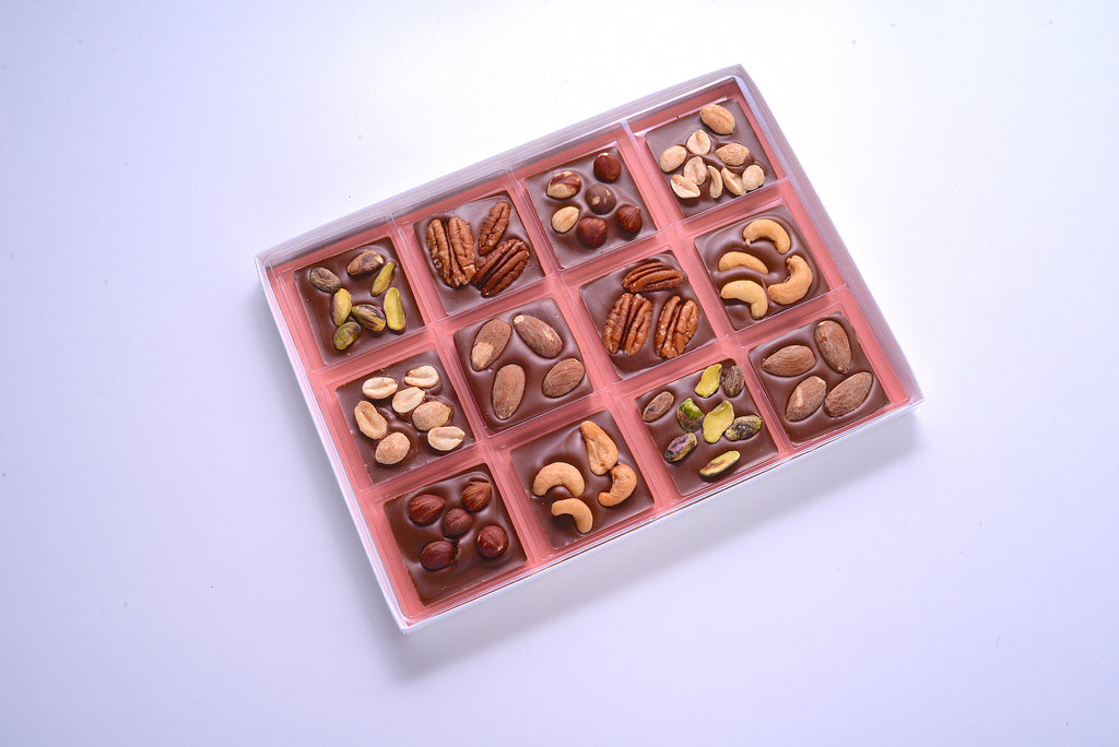 Nutty Chocolate Squares no Bow
