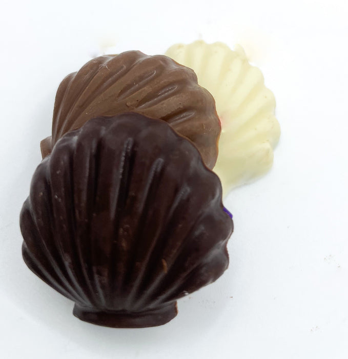 Chocolate Seashell